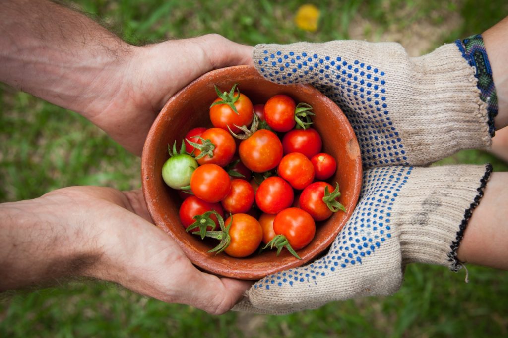 Schaal met tomaten